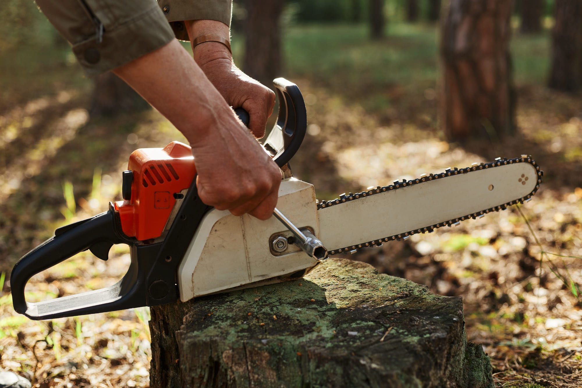 tree removal
