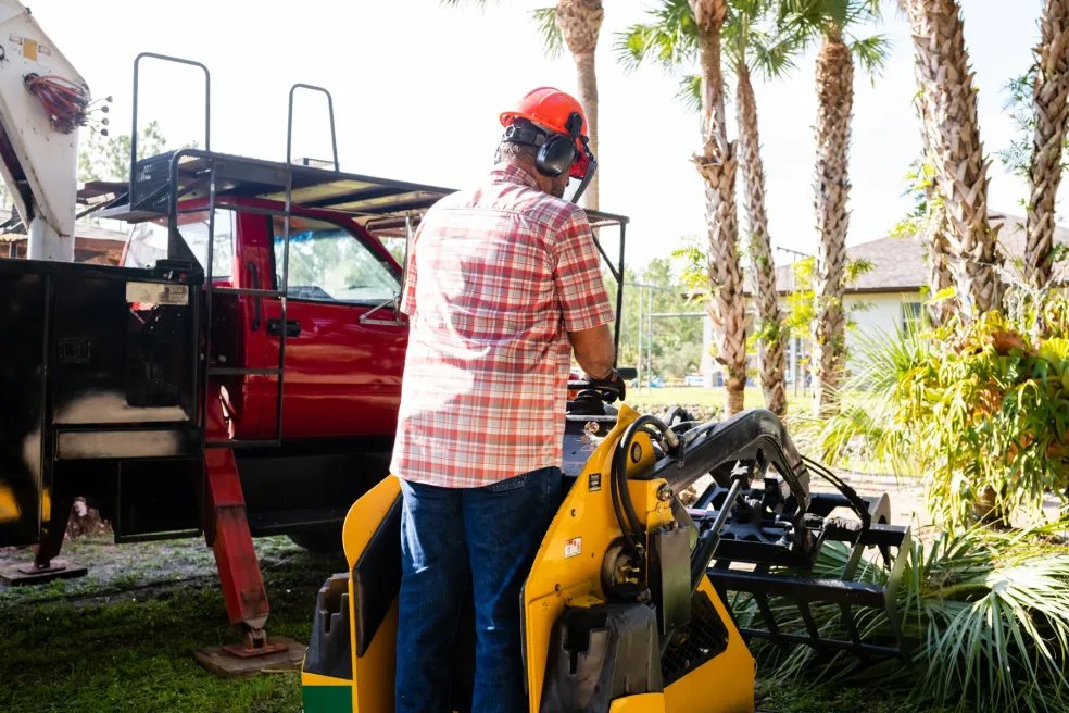 Stump Grinding
