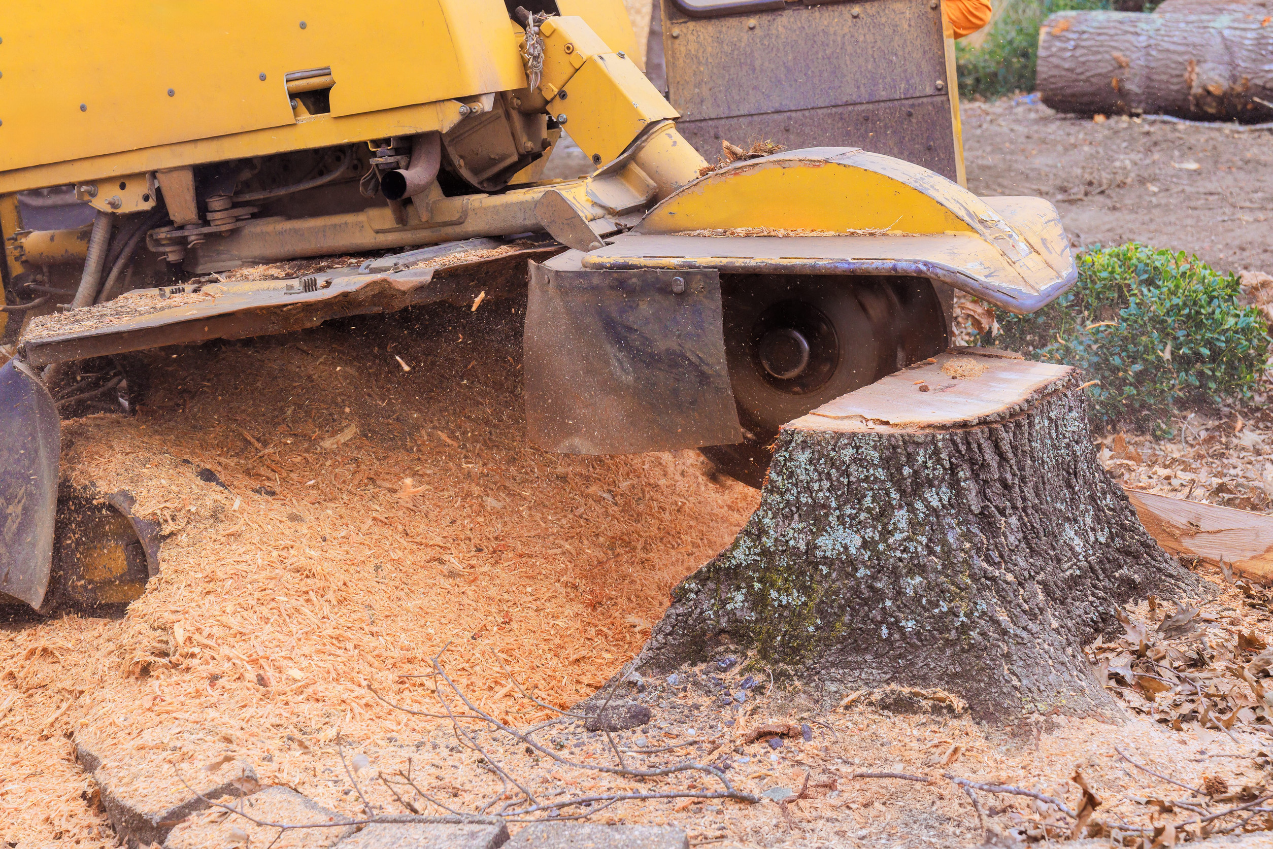 stump grinding